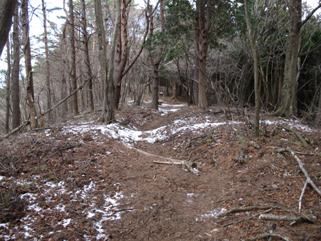 20181214hike (492)